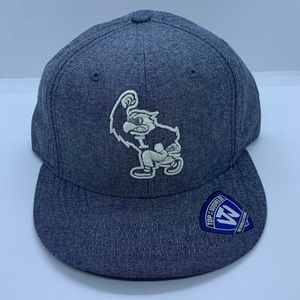 Iowa Hawkeyes Flat Bill Hat Gray Adjustable